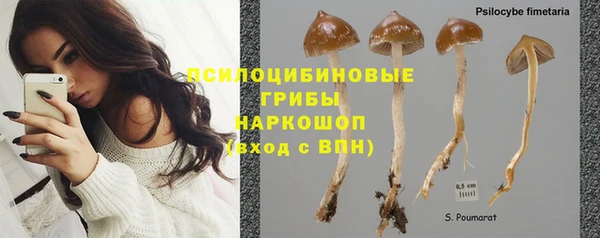 спайс Арсеньев