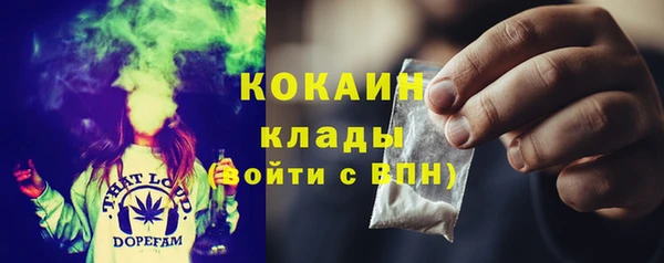 сатива Аркадак