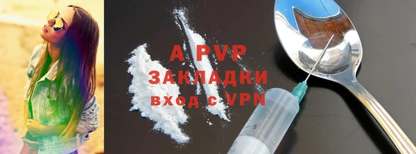сатива Аркадак