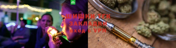 индика Бабаево