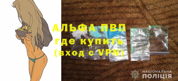 сатива Аркадак