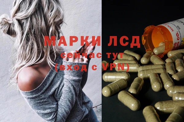 ГАЛЛЮЦИНОГЕННЫЕ ГРИБЫ Армянск