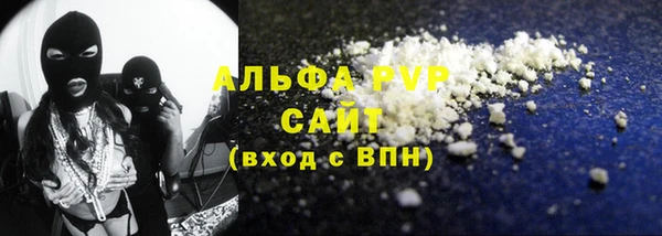 сатива Аркадак