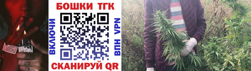 Бошки Шишки планчик  Вихоревка 